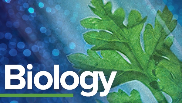 ib生物學(xué)什么，為什么要選IB生物？