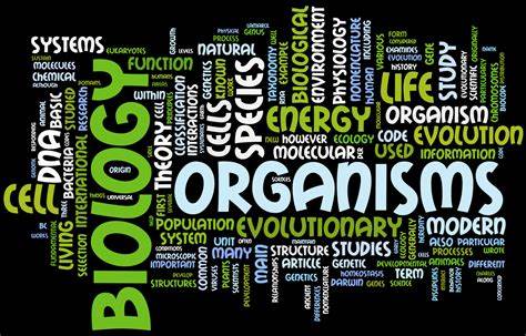 生物IB輔導：如何有技巧的去學習？