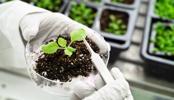 IB生物考試實驗題部分該注意什么？