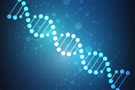 IB生物考點(diǎn)內(nèi)容總結(jié)，如何考核？