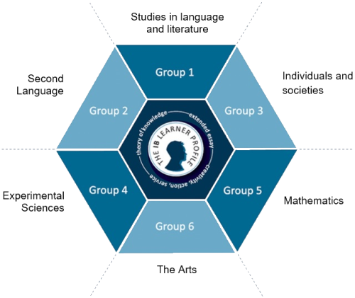 各ib選課模塊課程選擇指導(dǎo)，需要怎么考量？